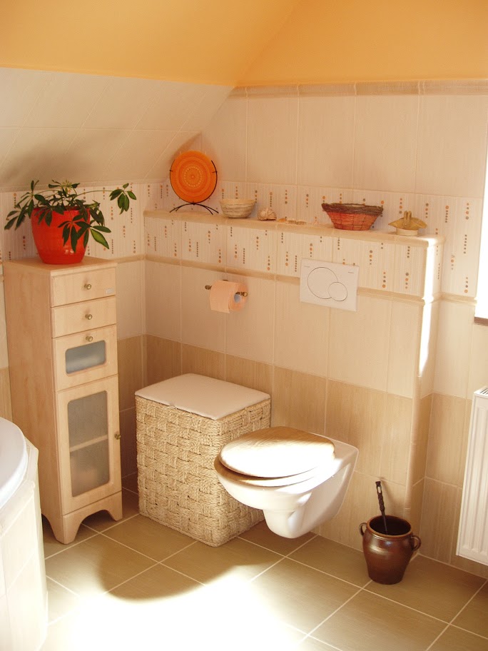 Po podkroví s koupelnou a WC